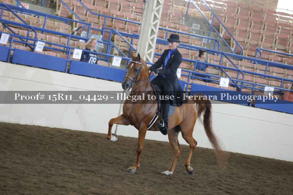 Proof 15R11_04429