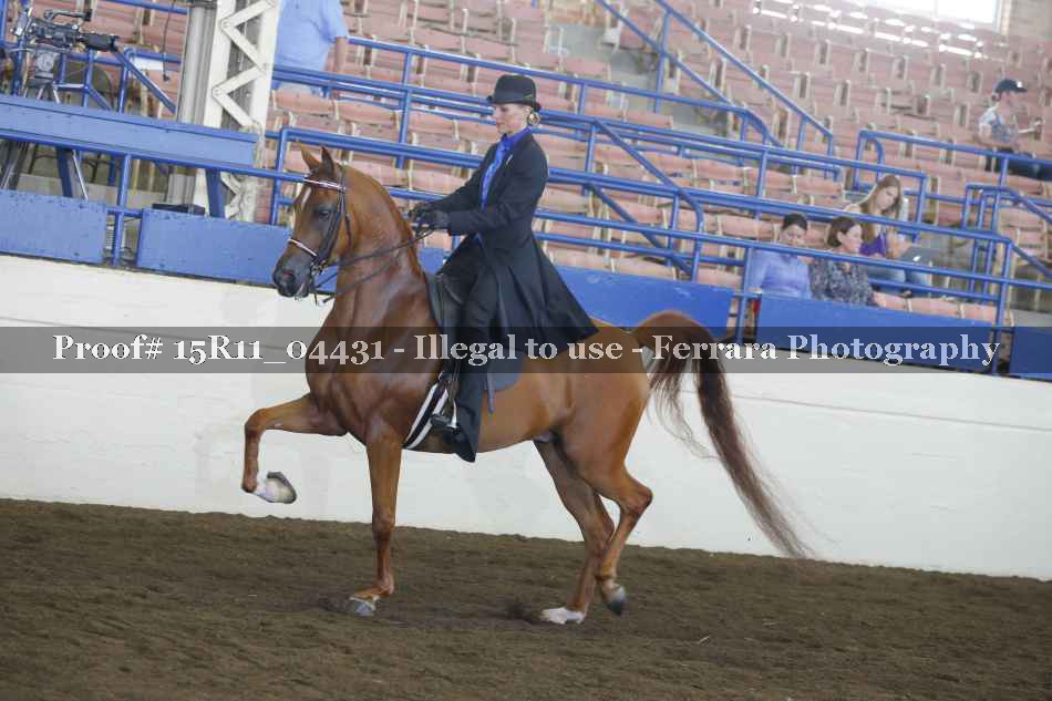 Proof 15R11_04431