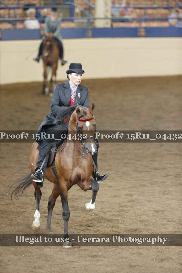 Proof 15R11_04432