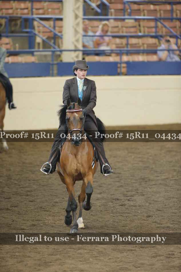 Proof 15R11_04434