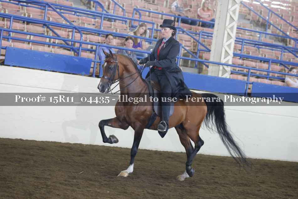 Proof 15R11_04435