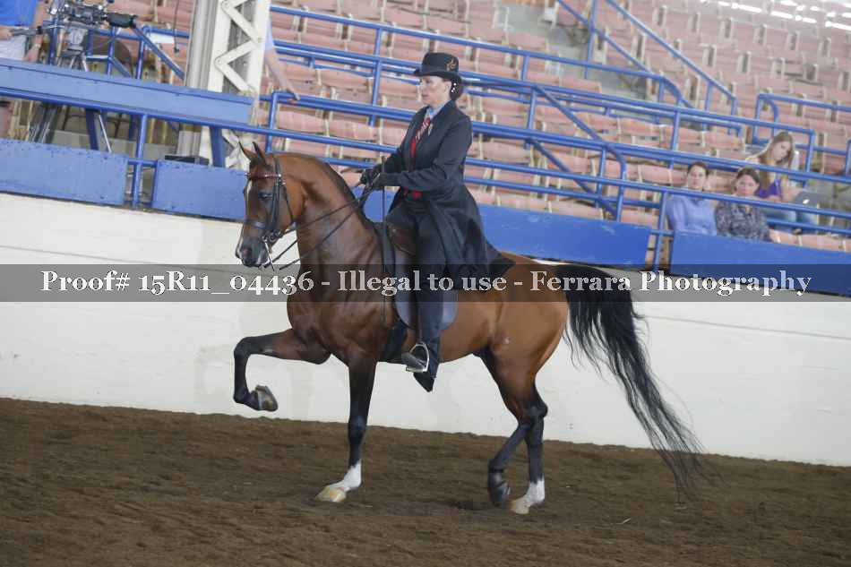 Proof 15R11_04436