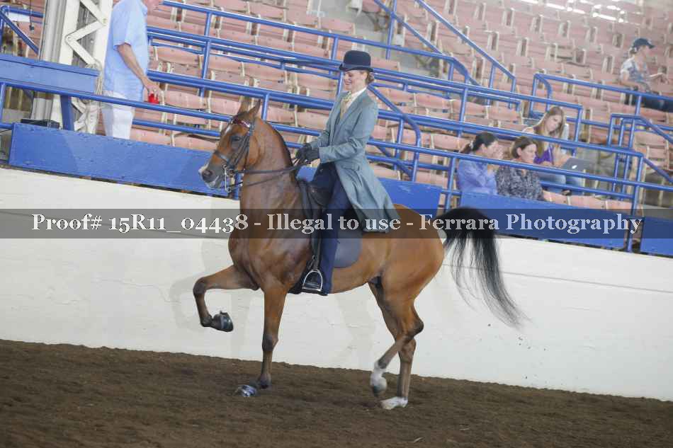 Proof 15R11_04438