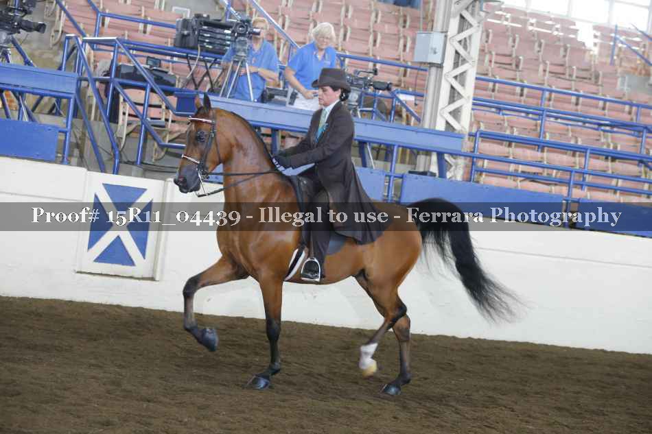 Proof 15R11_04439