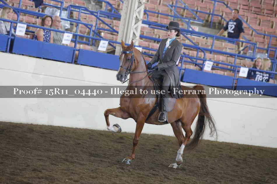 Proof 15R11_04440