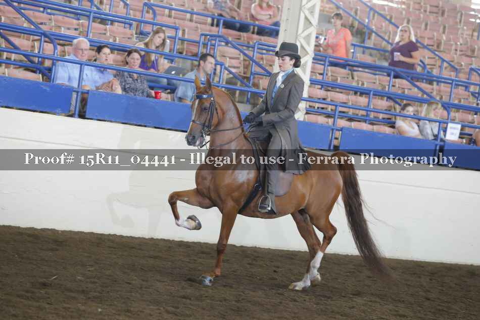 Proof 15R11_04441