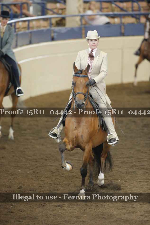 Proof 15R11_04442