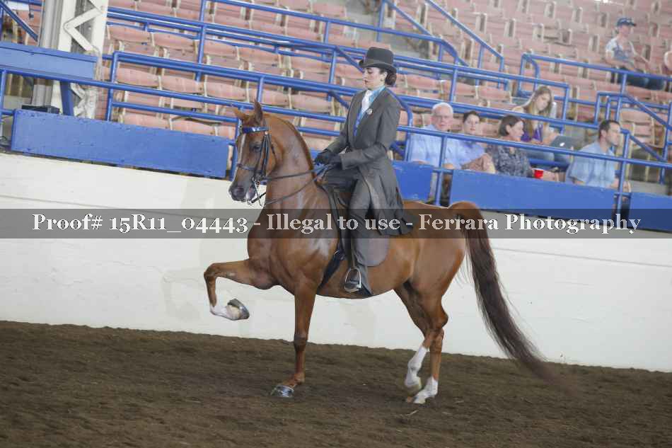 Proof 15R11_04443