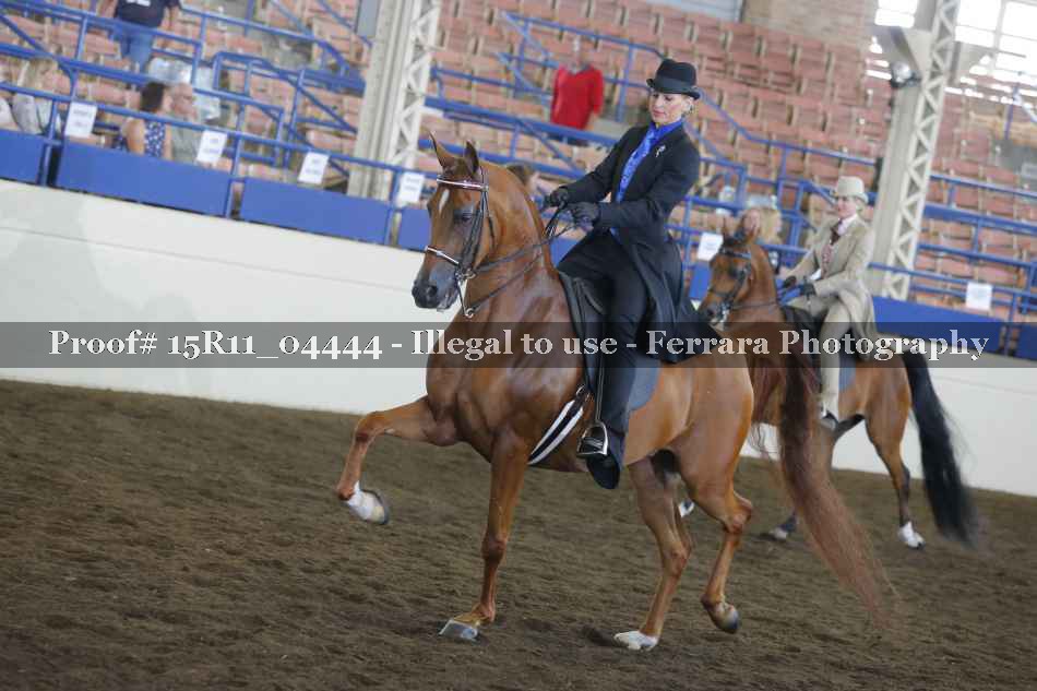Proof 15R11_04444