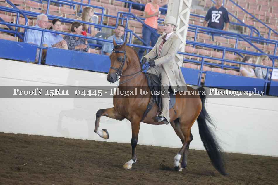 Proof 15R11_04445