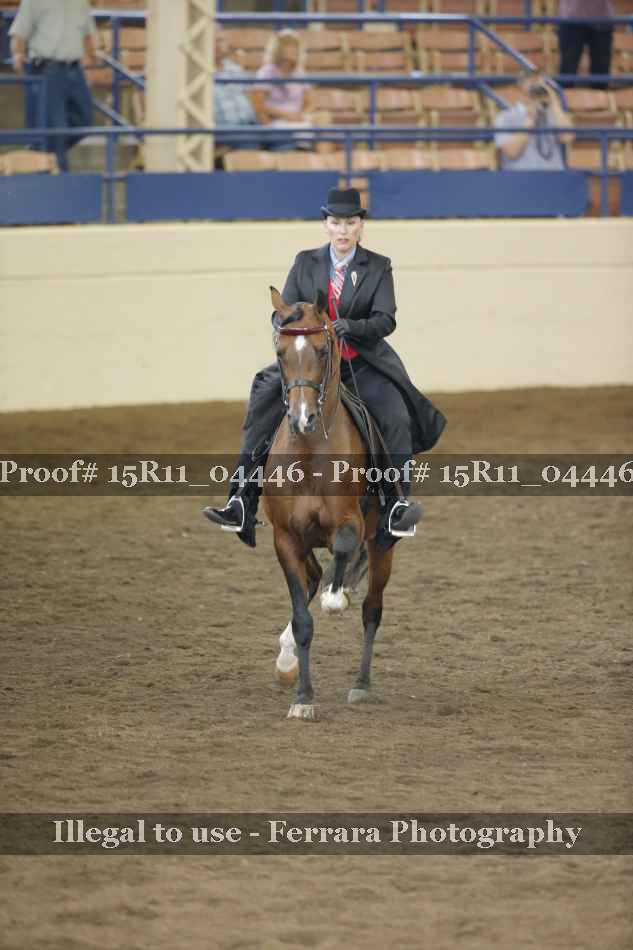 Proof 15R11_04446