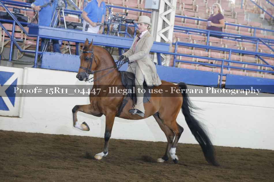 Proof 15R11_04447