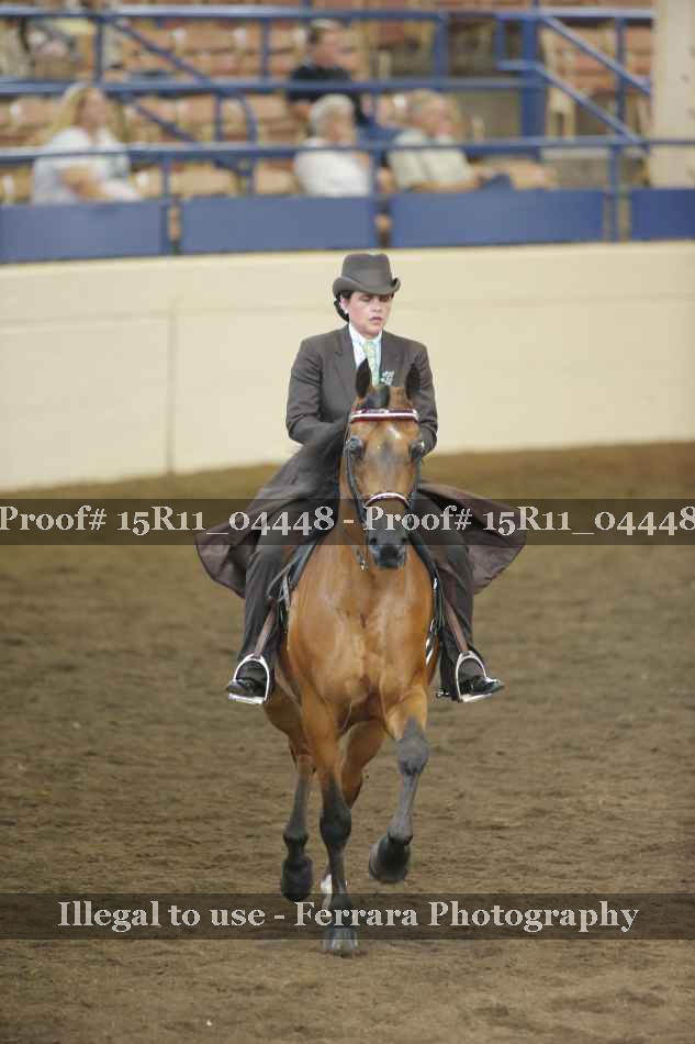 Proof 15R11_04448
