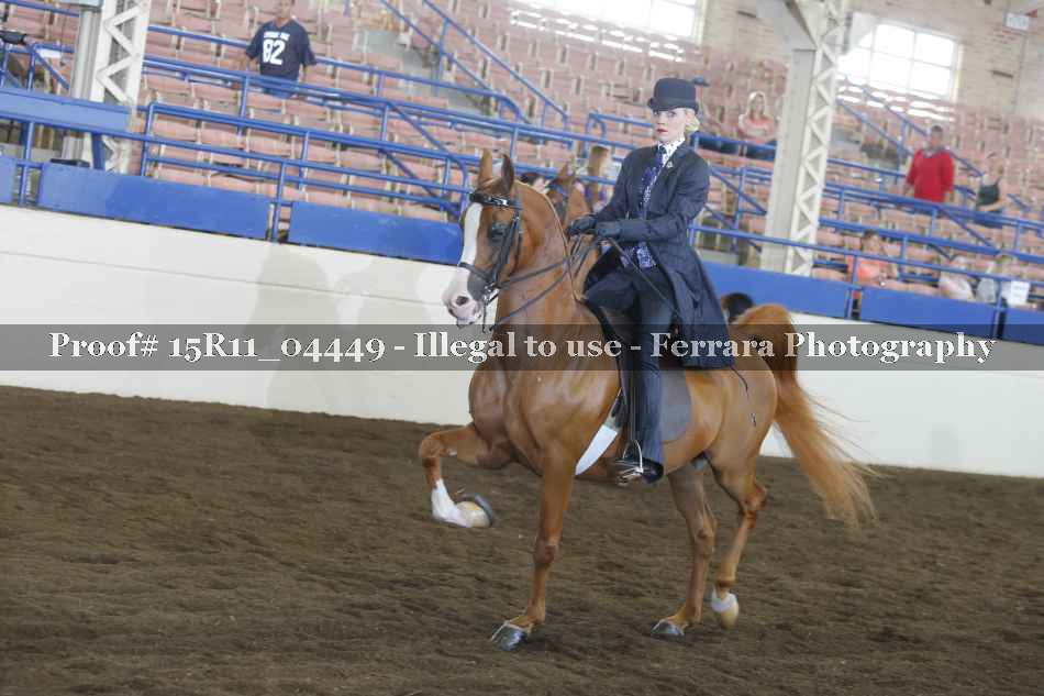 Proof 15R11_04449