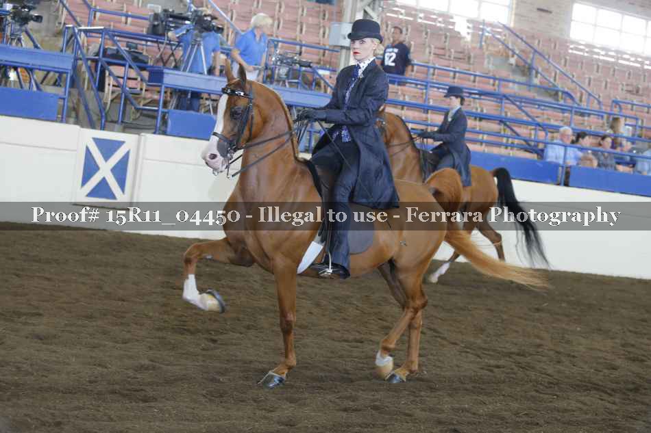 Proof 15R11_04450