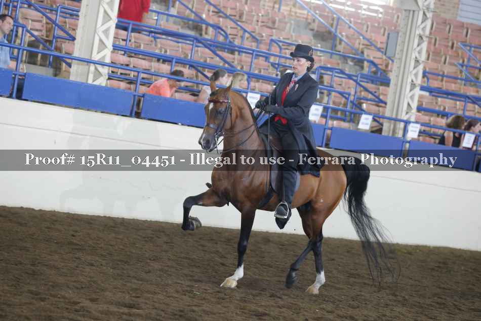 Proof 15R11_04451