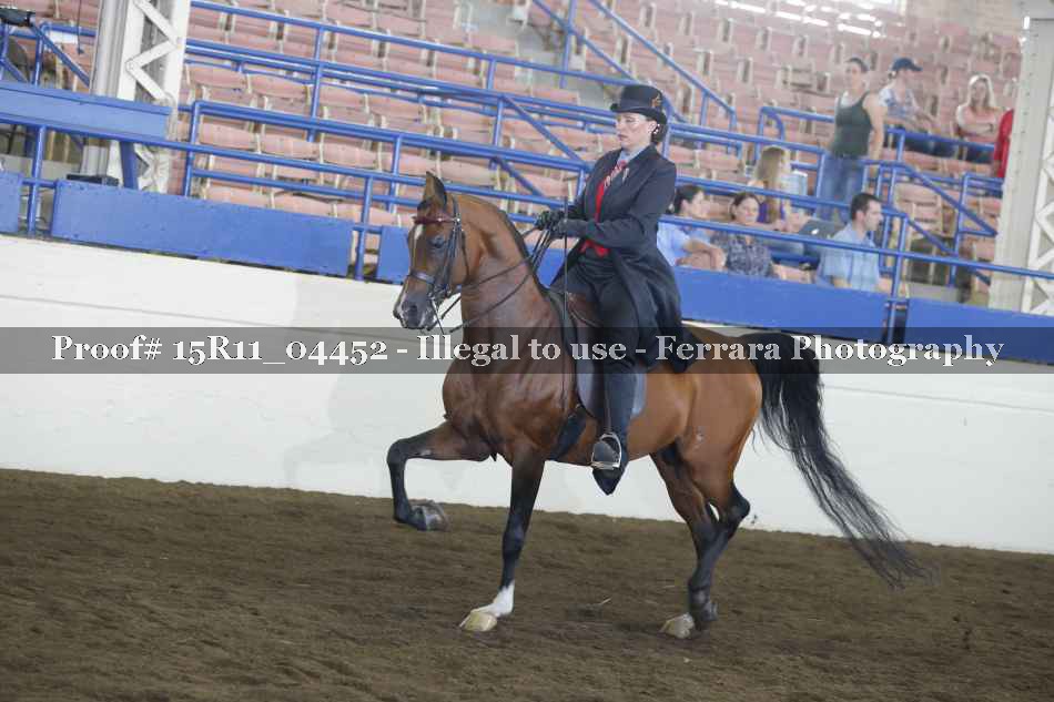 Proof 15R11_04452