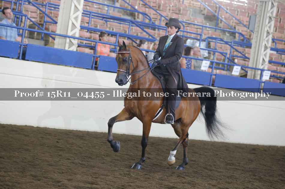 Proof 15R11_04455