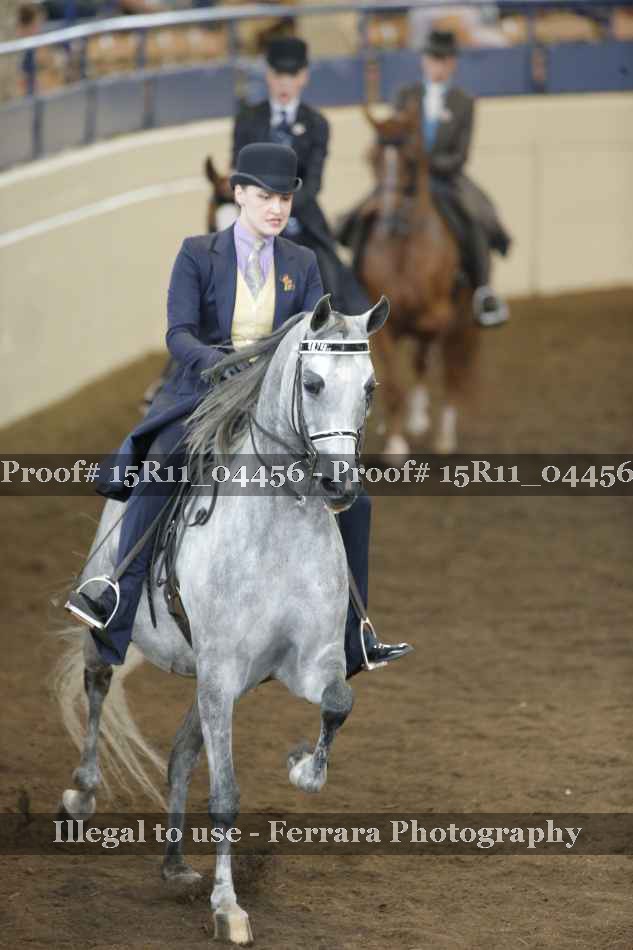 Proof 15R11_04456
