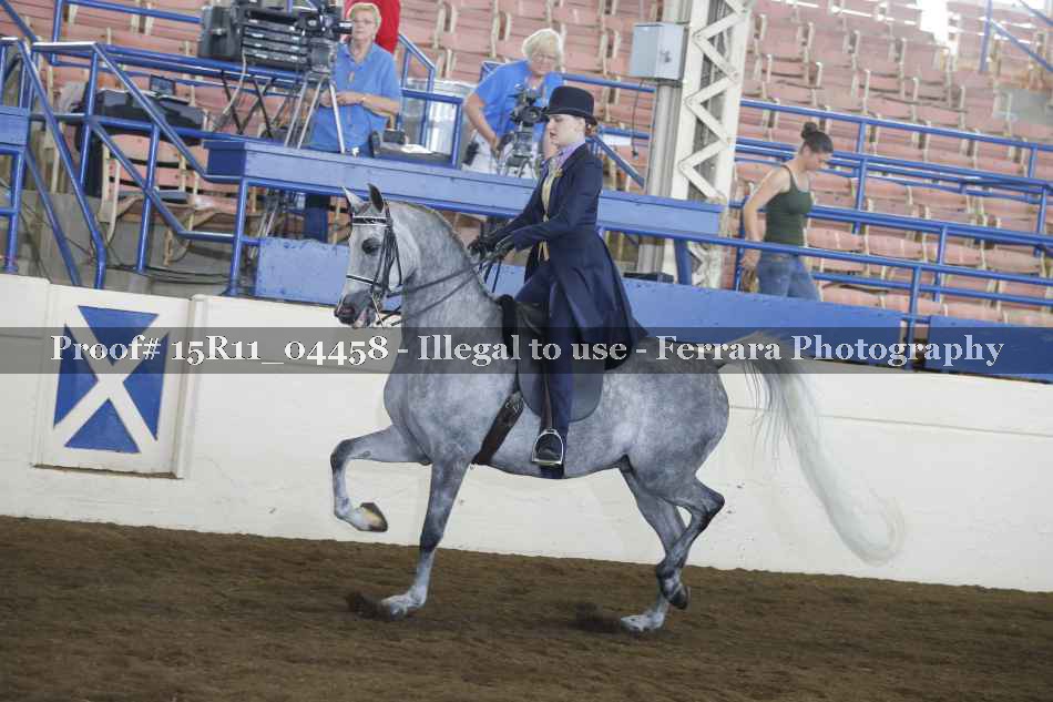 Proof 15R11_04458