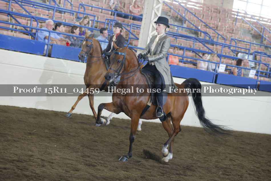Proof 15R11_04459