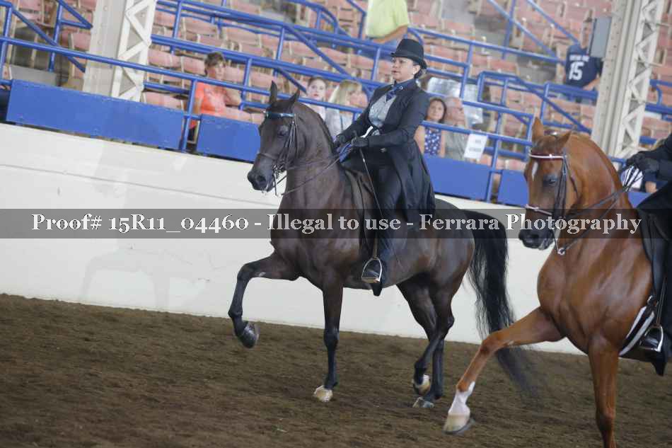 Proof 15R11_04460