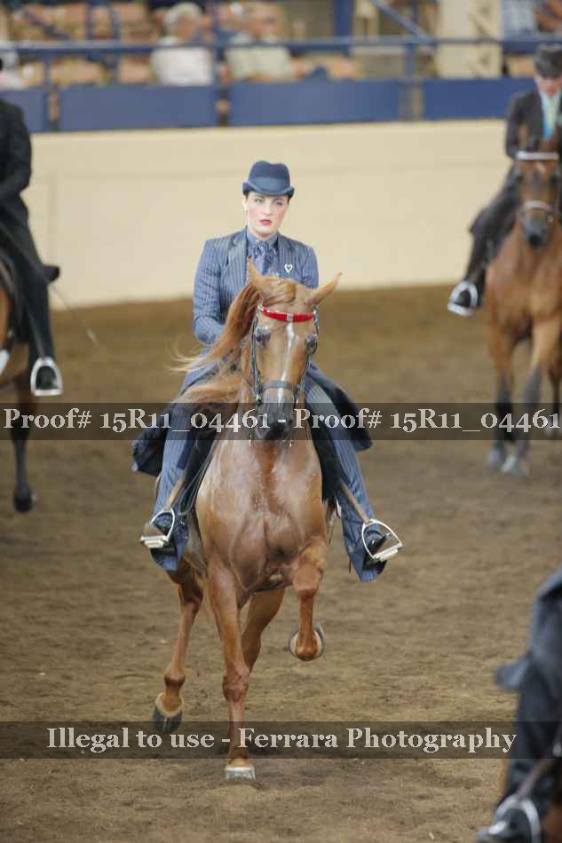 Proof 15R11_04461