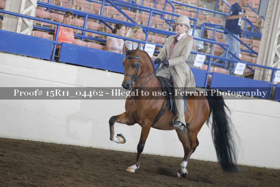 Proof 15R11_04462