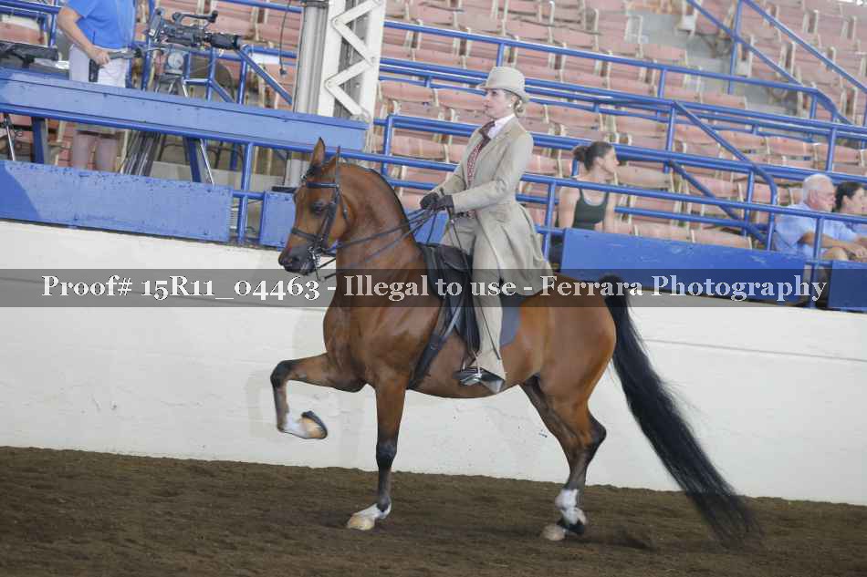Proof 15R11_04463