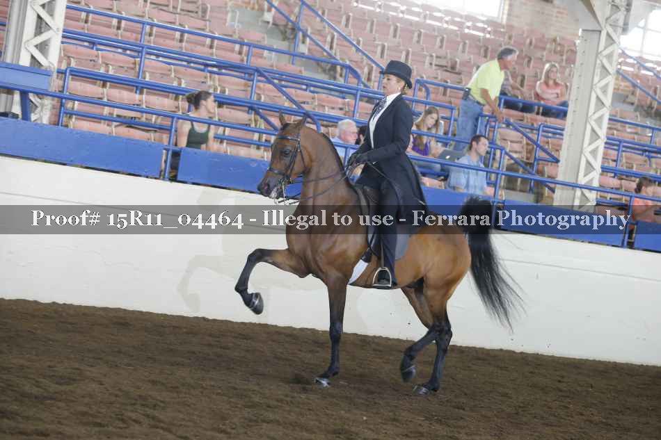 Proof 15R11_04464