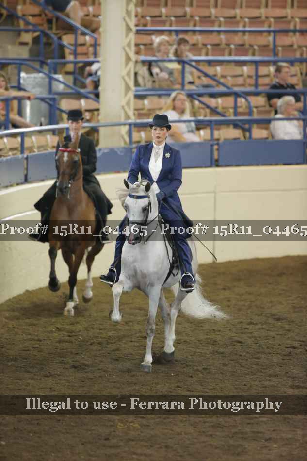 Proof 15R11_04465