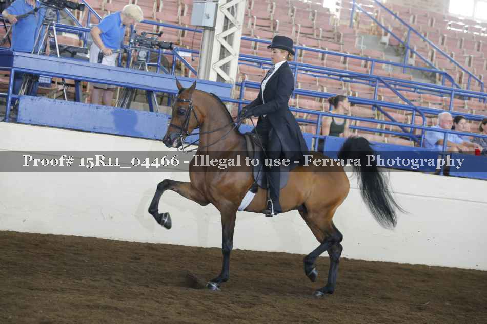 Proof 15R11_04466