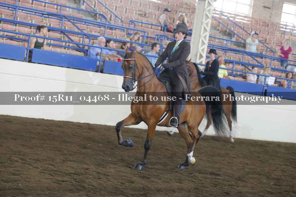 Proof 15R11_04468