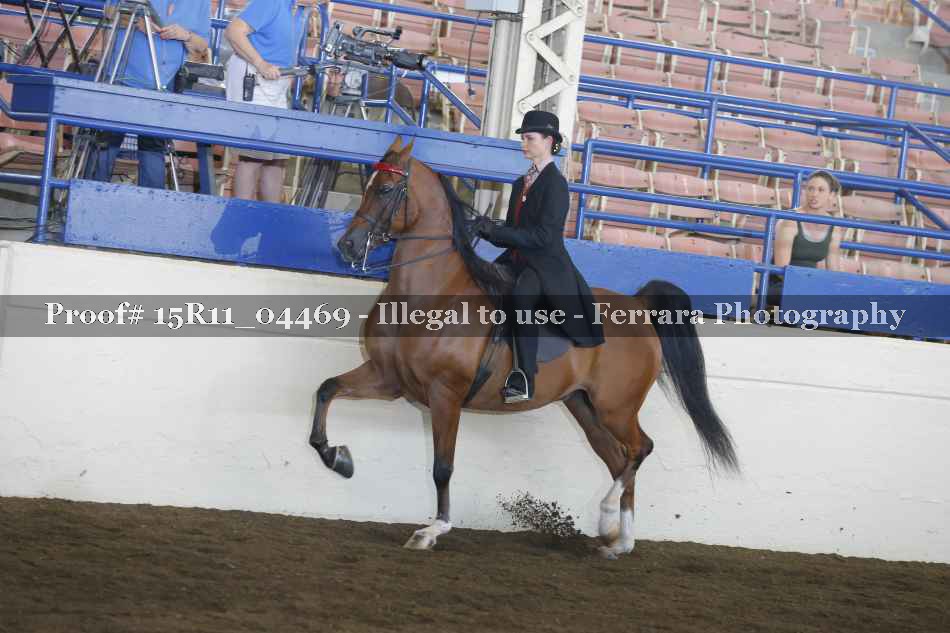 Proof 15R11_04469