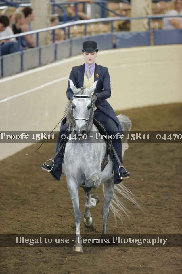 Proof 15R11_04470