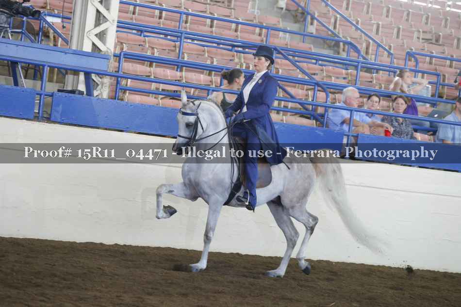 Proof 15R11_04471