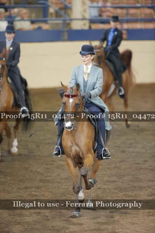 Proof 15R11_04472