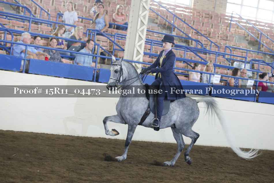 Proof 15R11_04473