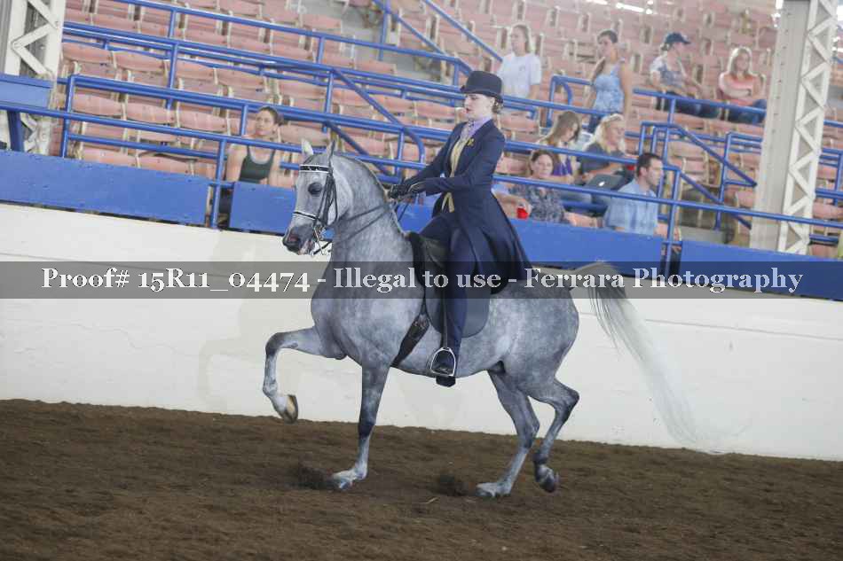Proof 15R11_04474