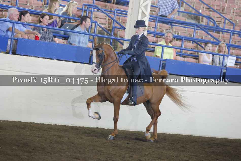 Proof 15R11_04475