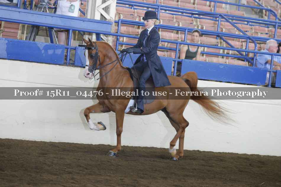 Proof 15R11_04476