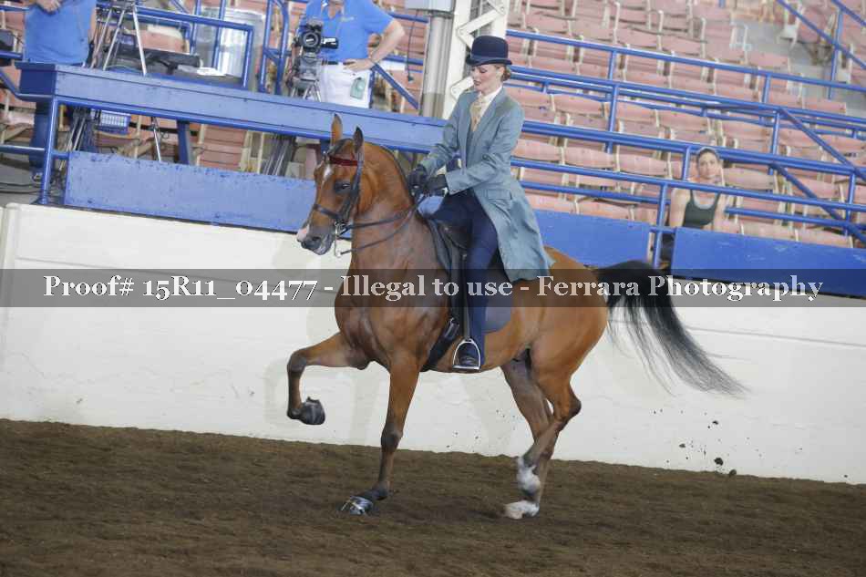 Proof 15R11_04477