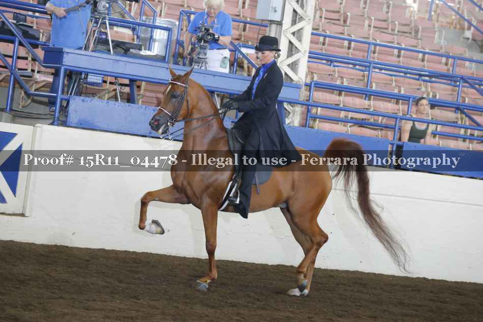Proof 15R11_04478
