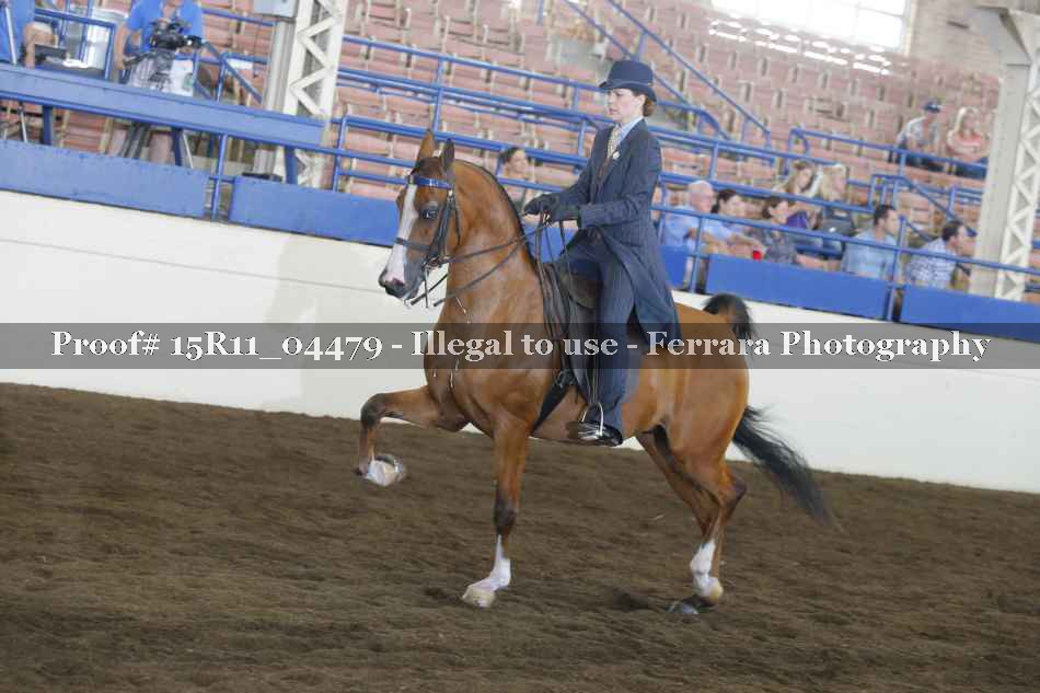 Proof 15R11_04479