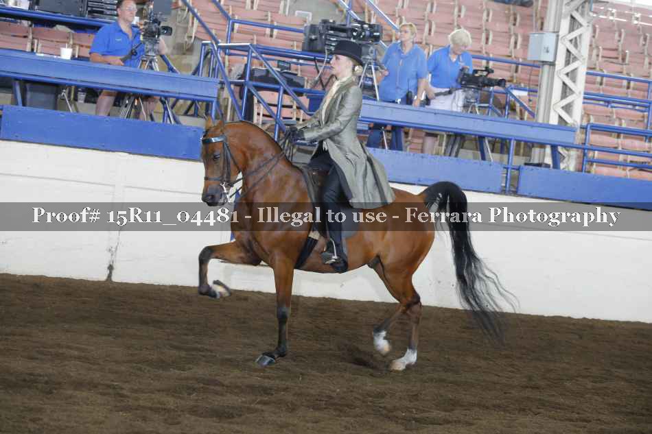 Proof 15R11_04481