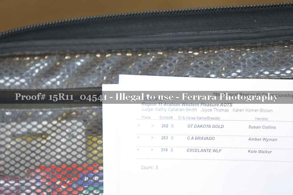 Proof 15R11_04541