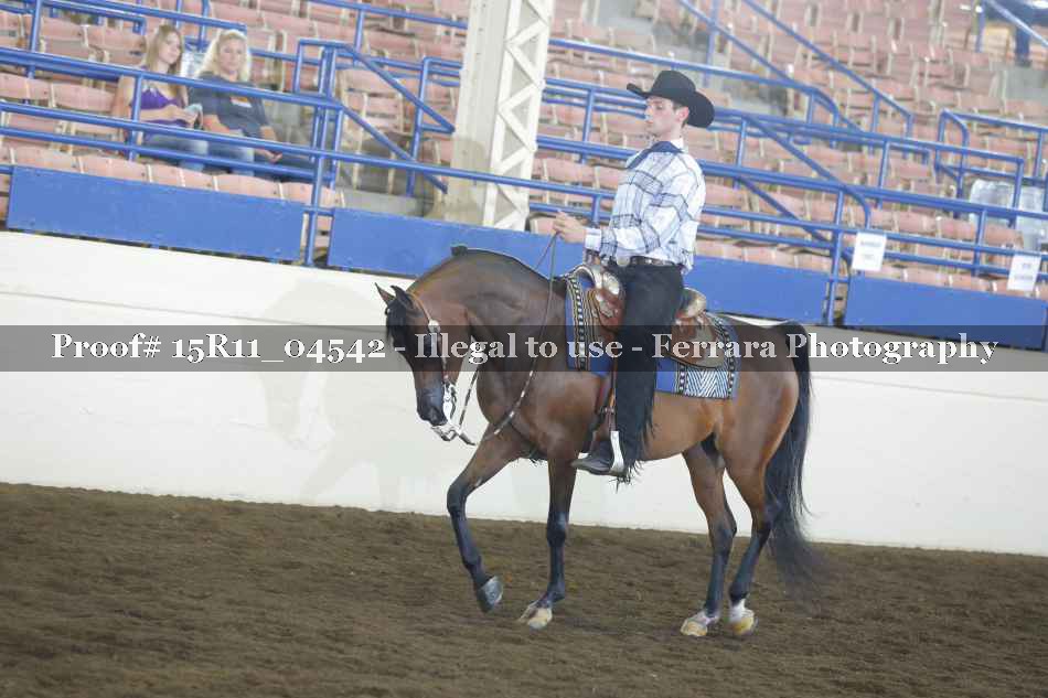 Proof 15R11_04542