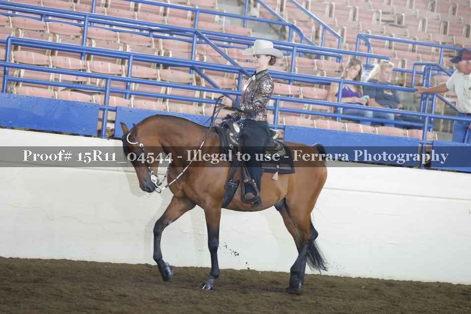 Proof 15R11_04544