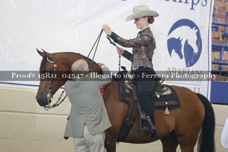 Proof 15R11_04547