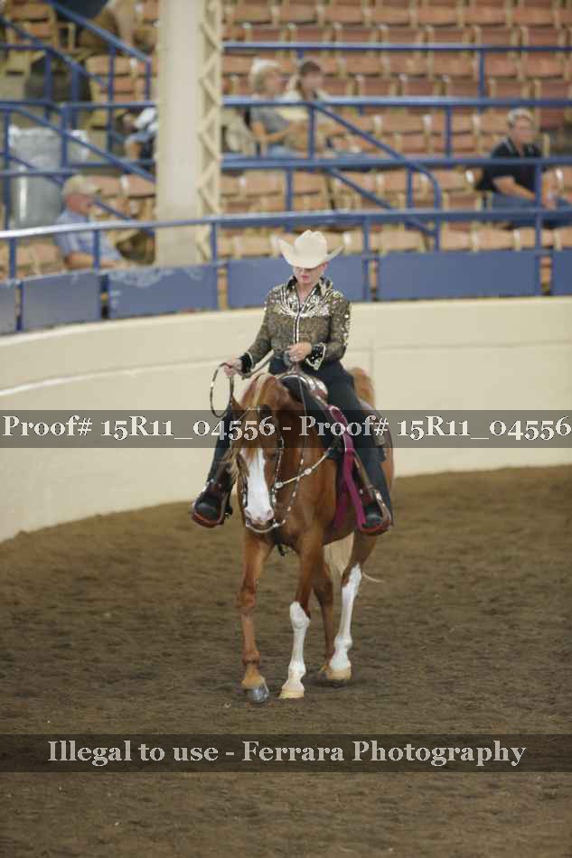 Proof 15R11_04556